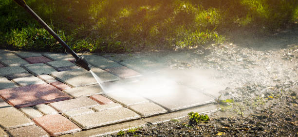 Best Fleet Vehicle Washing  in Dundee, MI